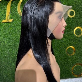 Silky Shine Natural Lace Frontal Wig