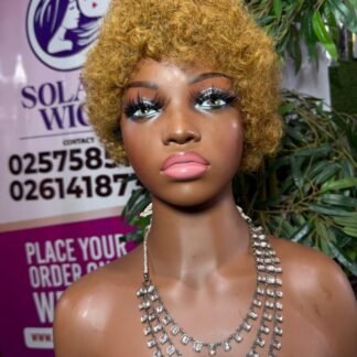 Human Hair Afro Wet Curls